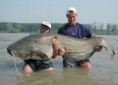 /album/oh-shit/a284-bigcatfish-jpg/